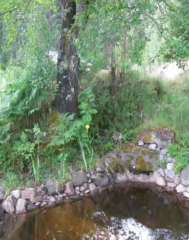 Stensatt damm under ett stort träd